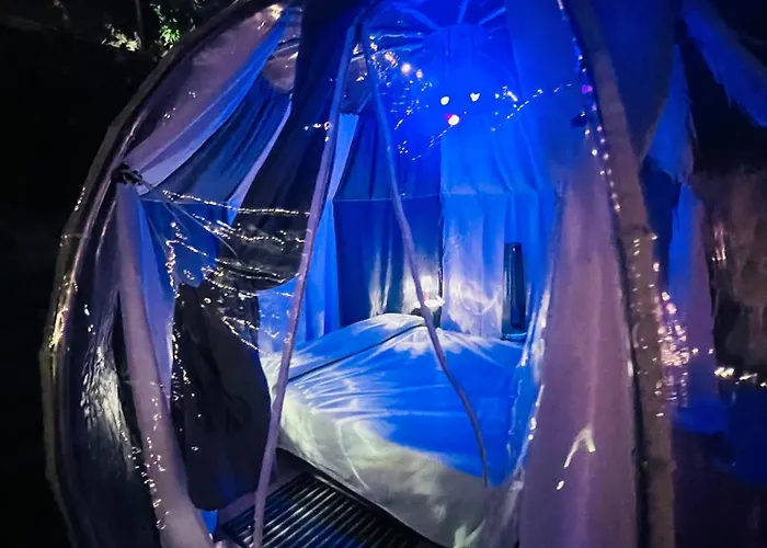 Bubble La Maghianisa Saracena